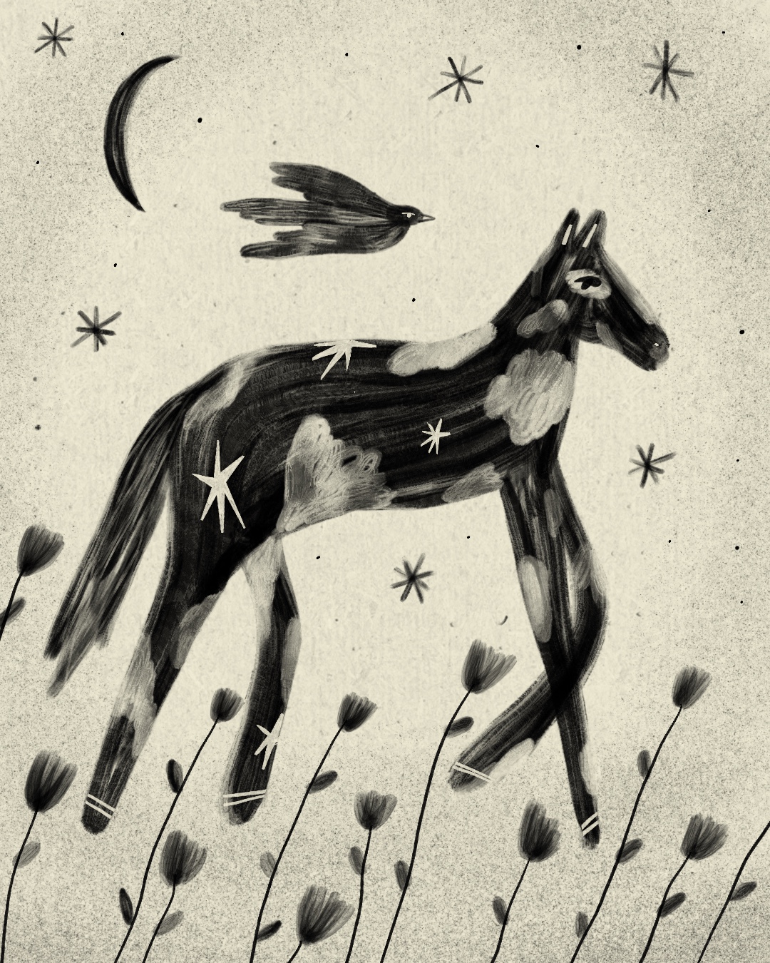 00_Cavallino