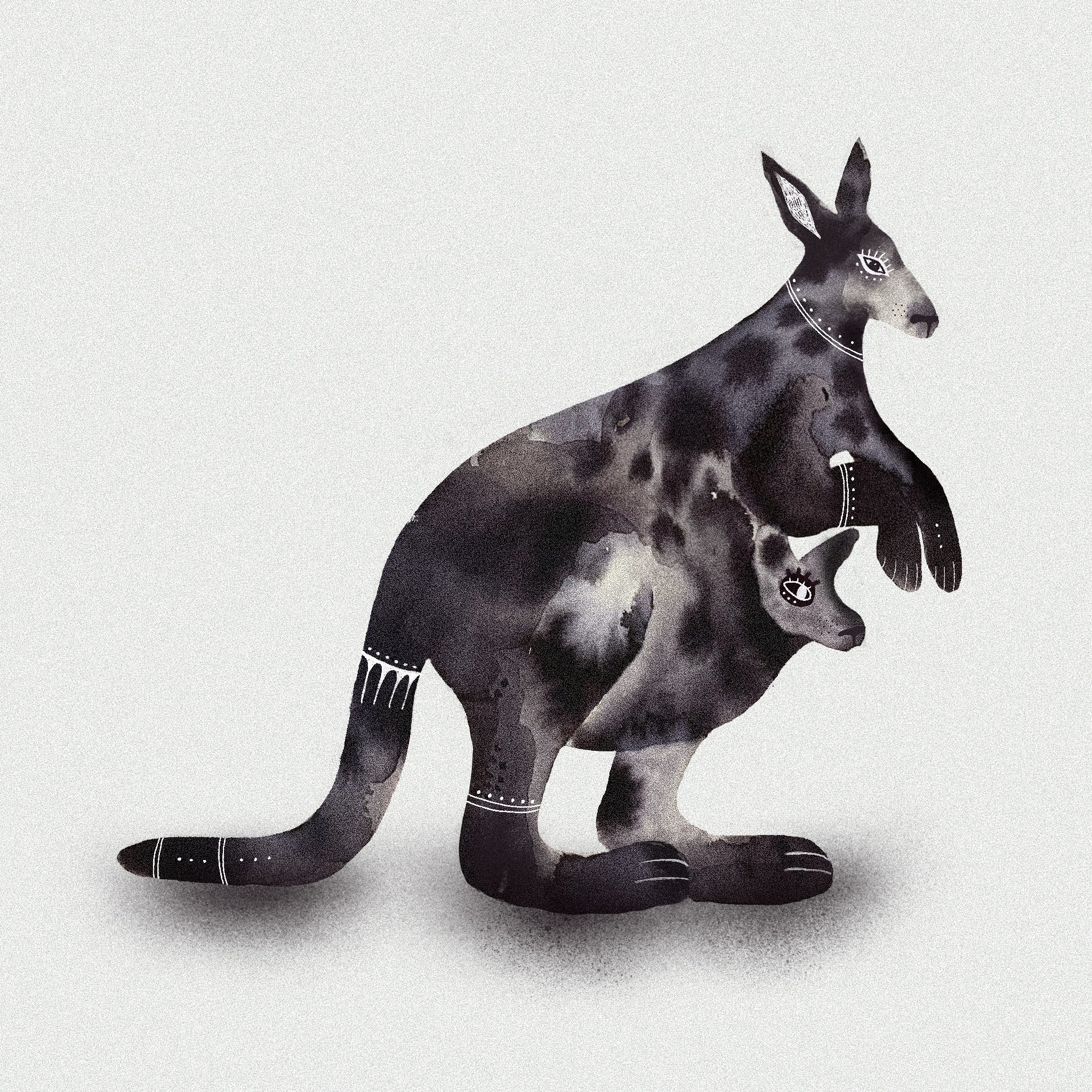 Canguro