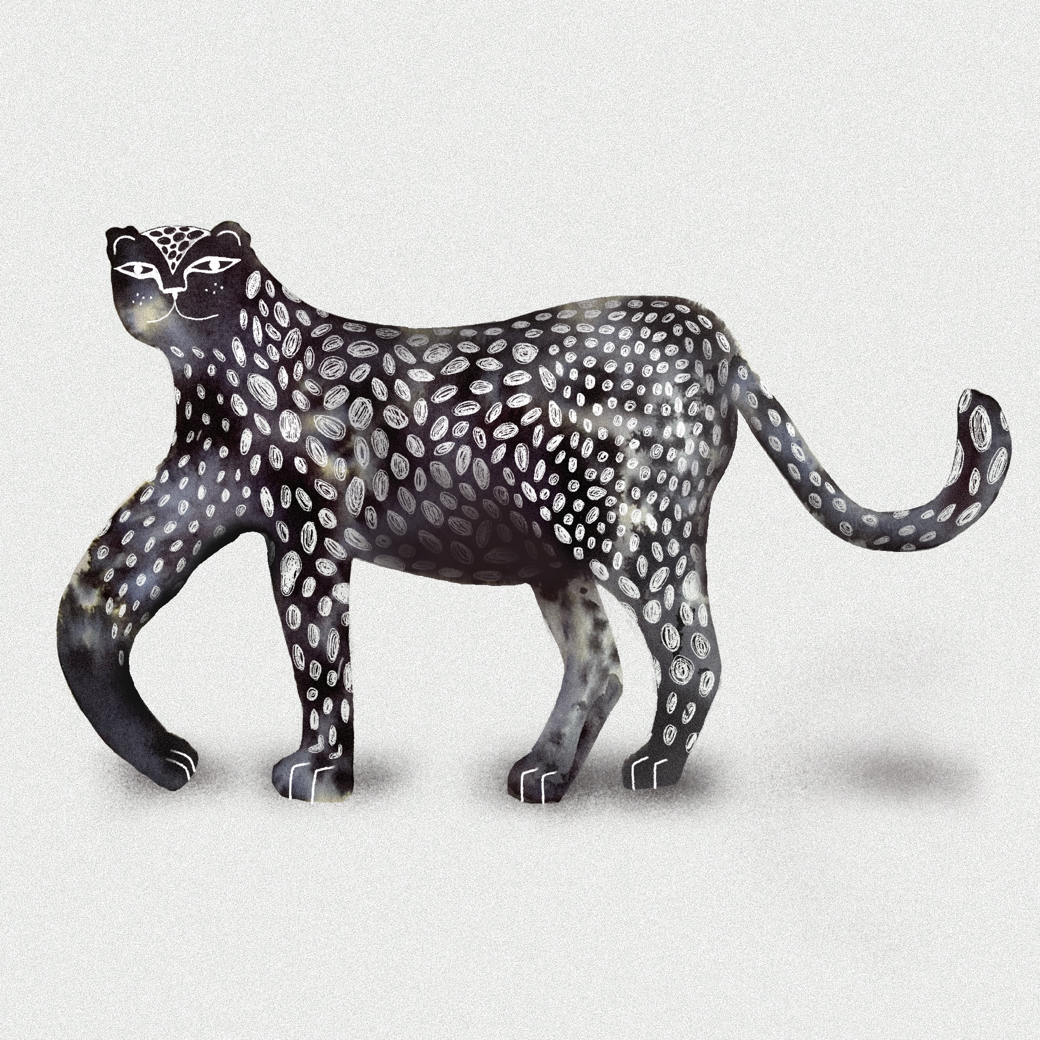 Cheetah