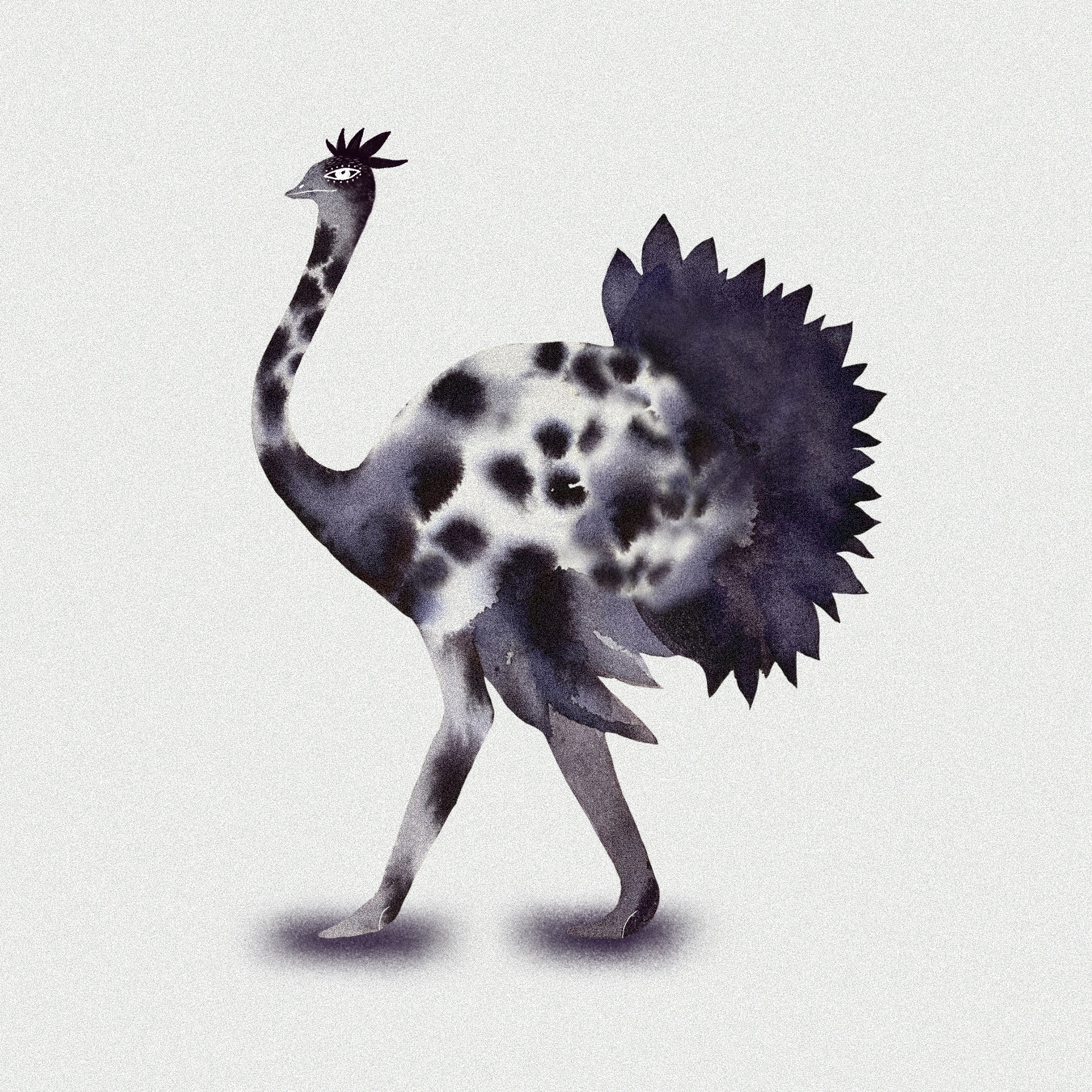 Struzzo