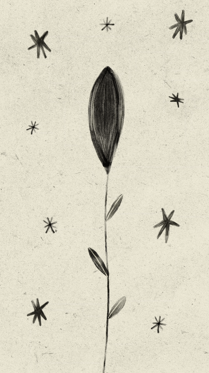 fiori